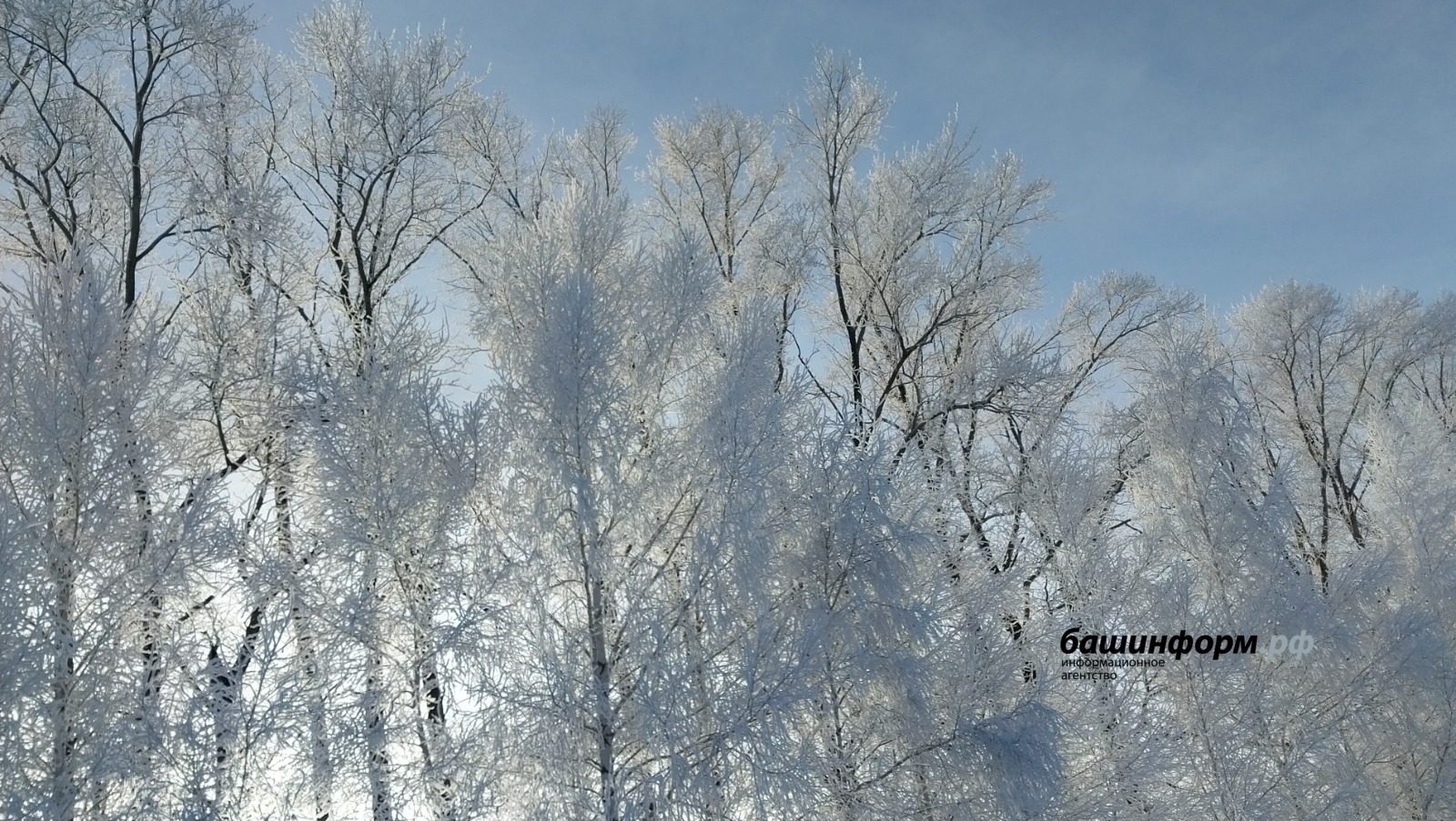 Архив ИА «Башинформ»