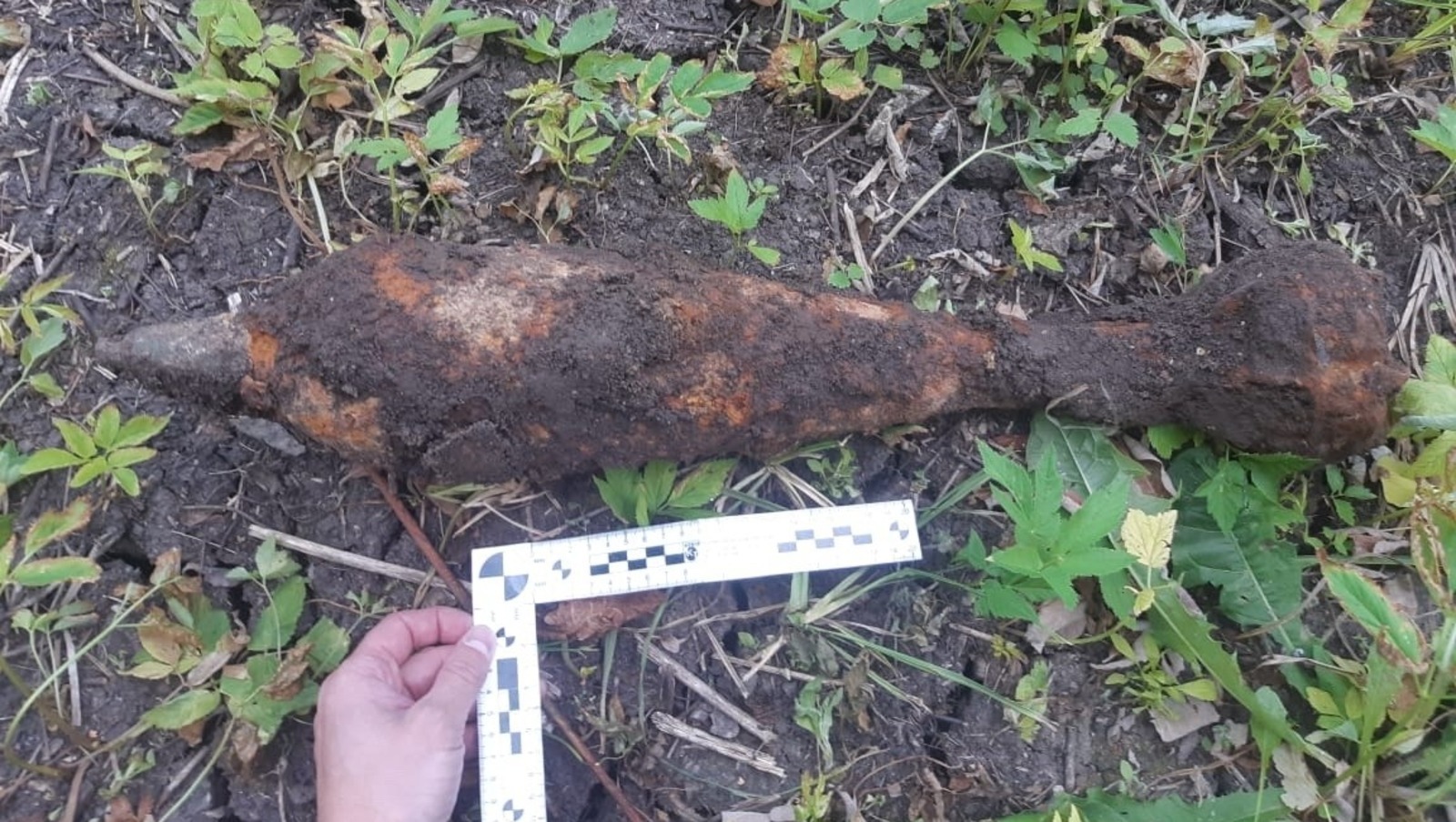 В Башкирии на садовом участке обнаружили страшную находку