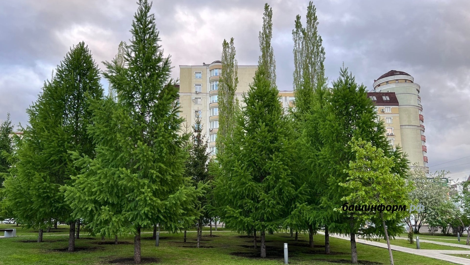 Ксения Калинина