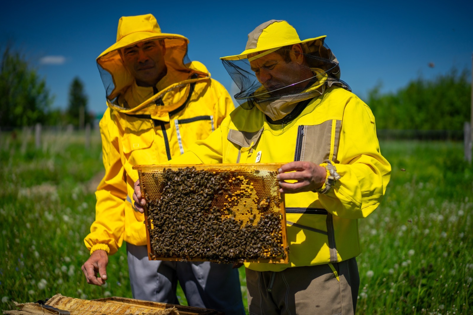 пресс-служба  минсельхоза Башкирии