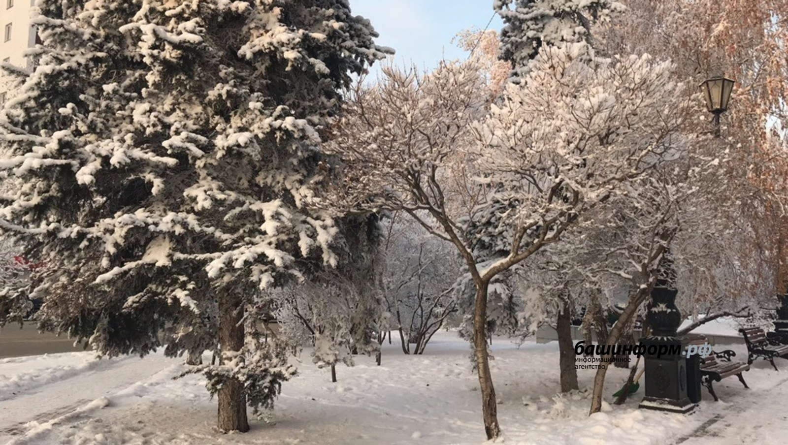 Ксения Калинина