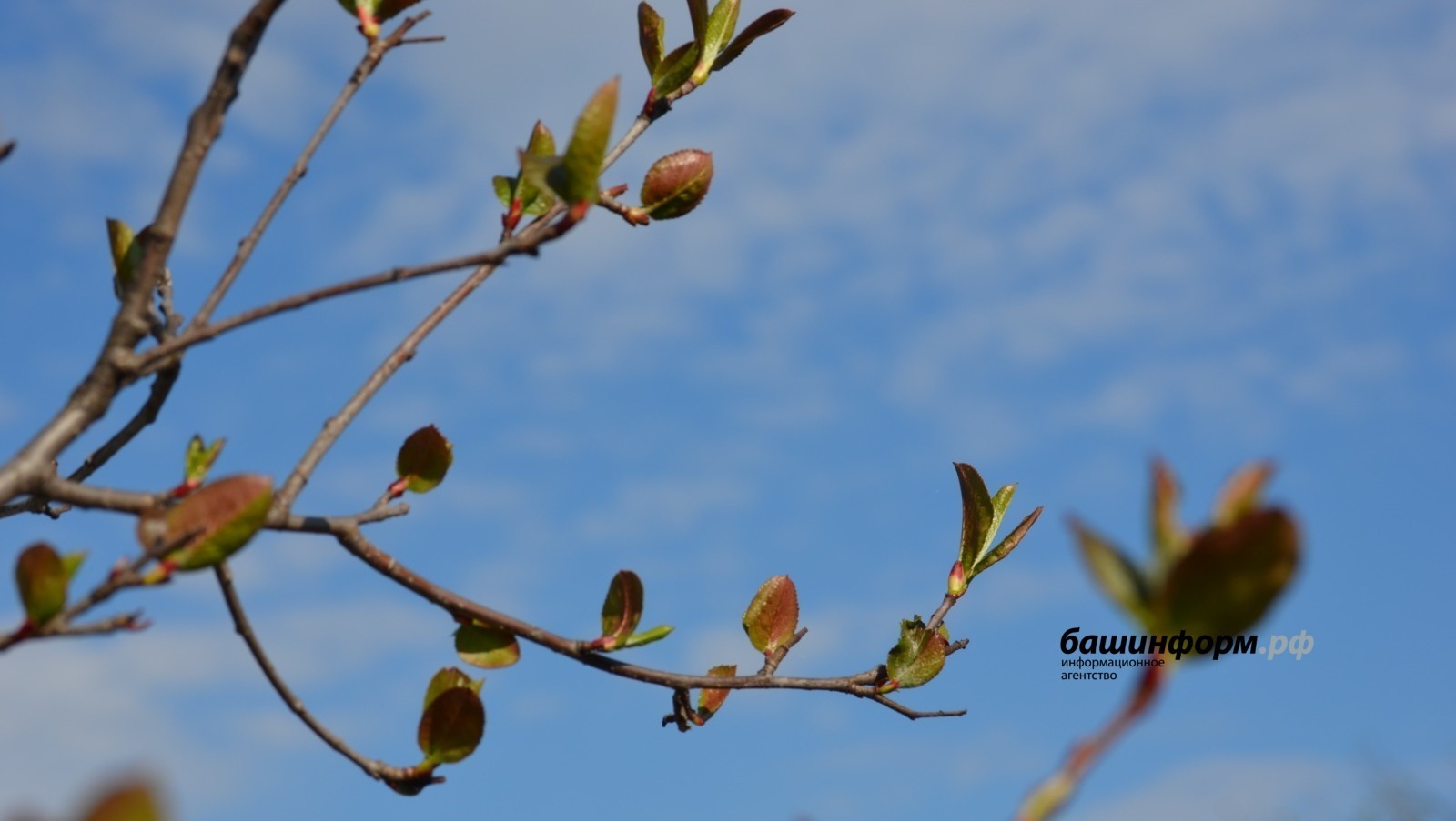 Ксения Калинина