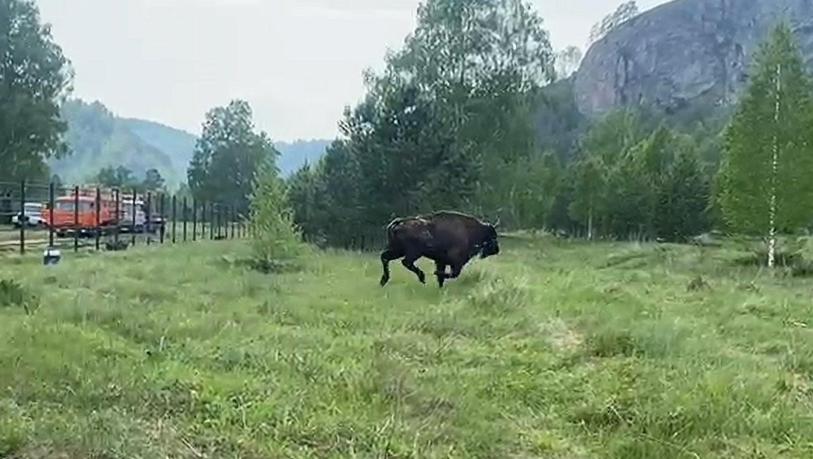 соцсети Радия Хабирова