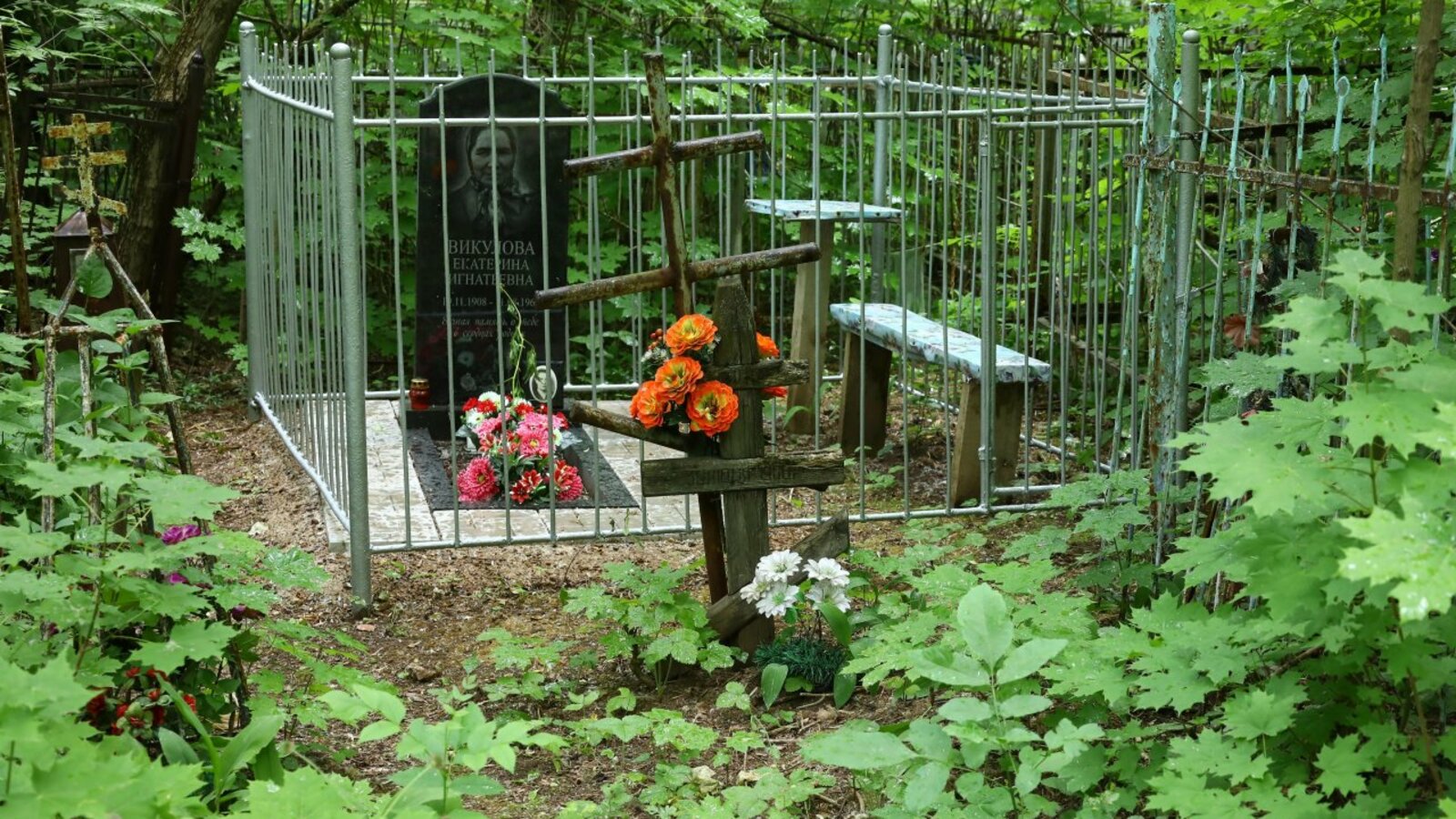 Валерий Шахов