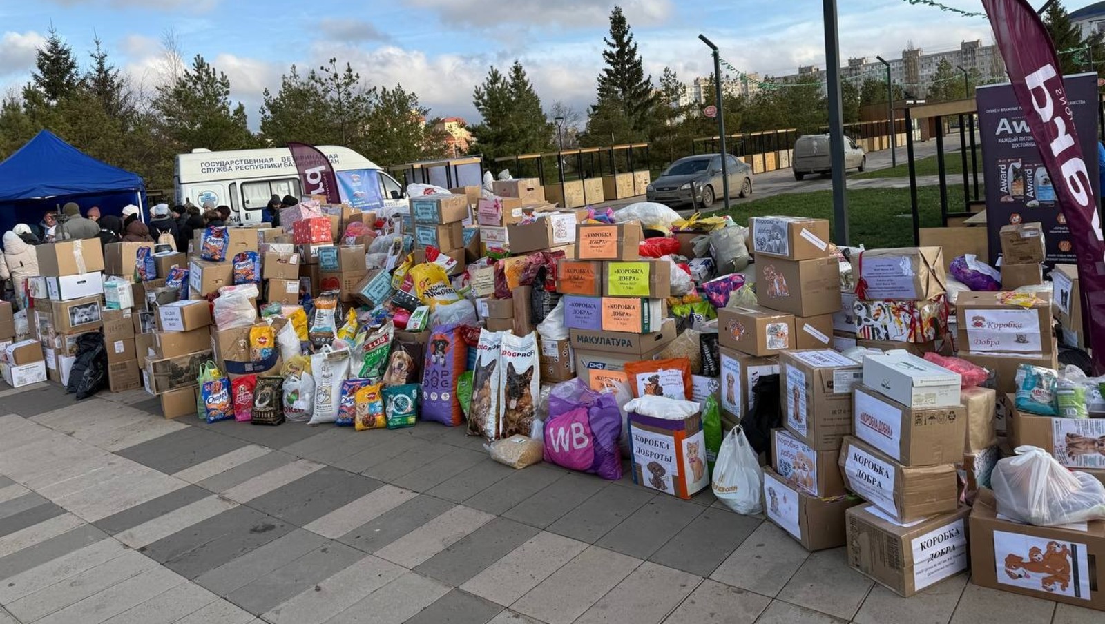 ТГ-канал Ратмира Мавлиева соцсети