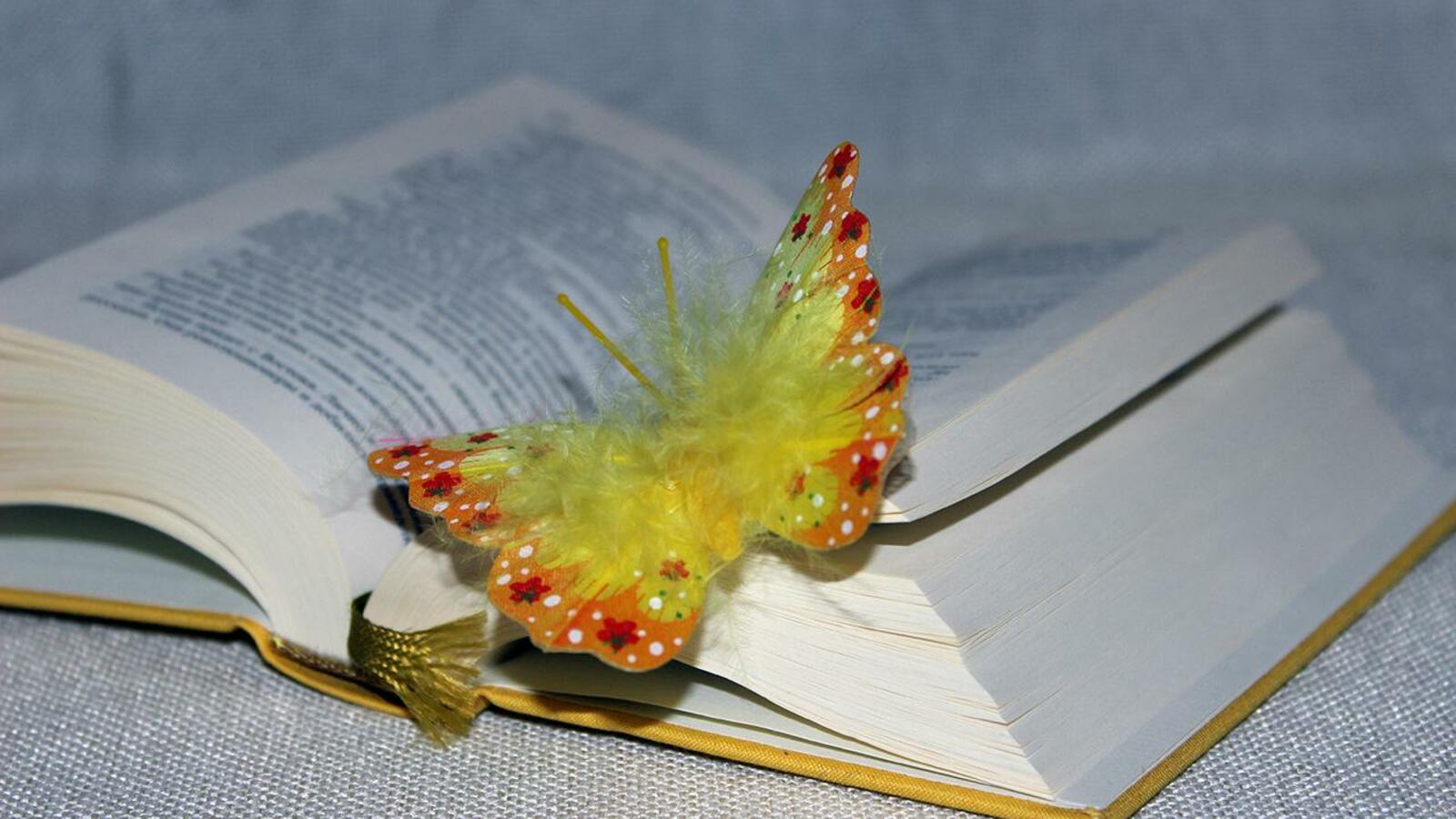 Карина Камаева