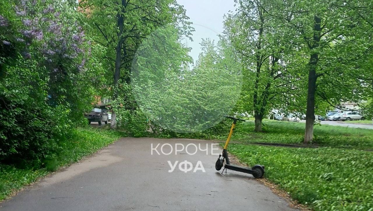телеграм-канал «Короче, Уфа»