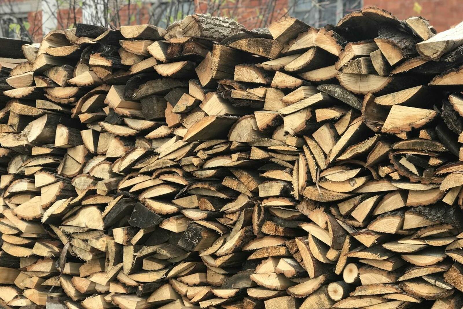 Ксения Калинина