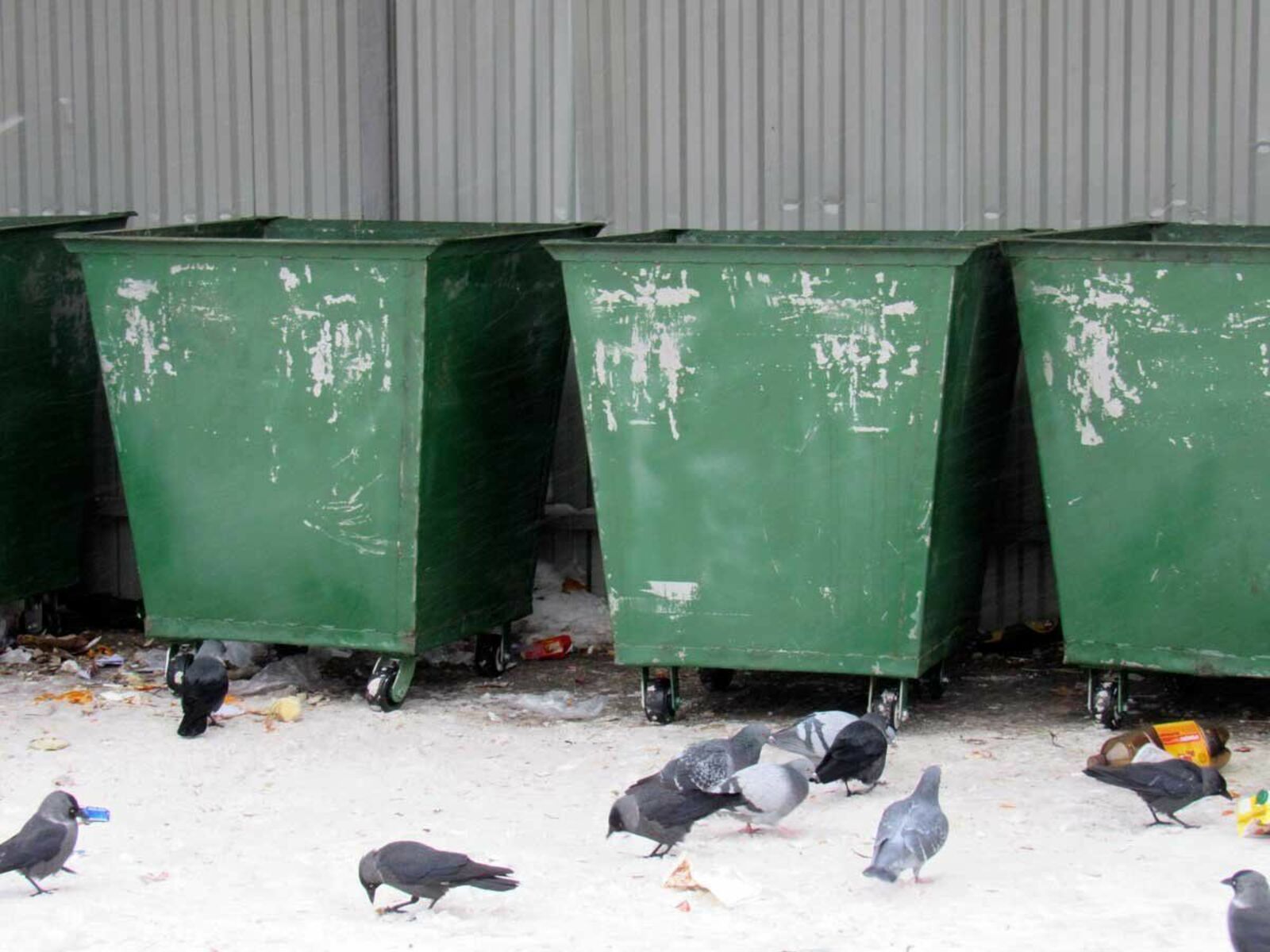 Жителей Башкирии приглашают принять участие в опросе по проблемам уборки мусора