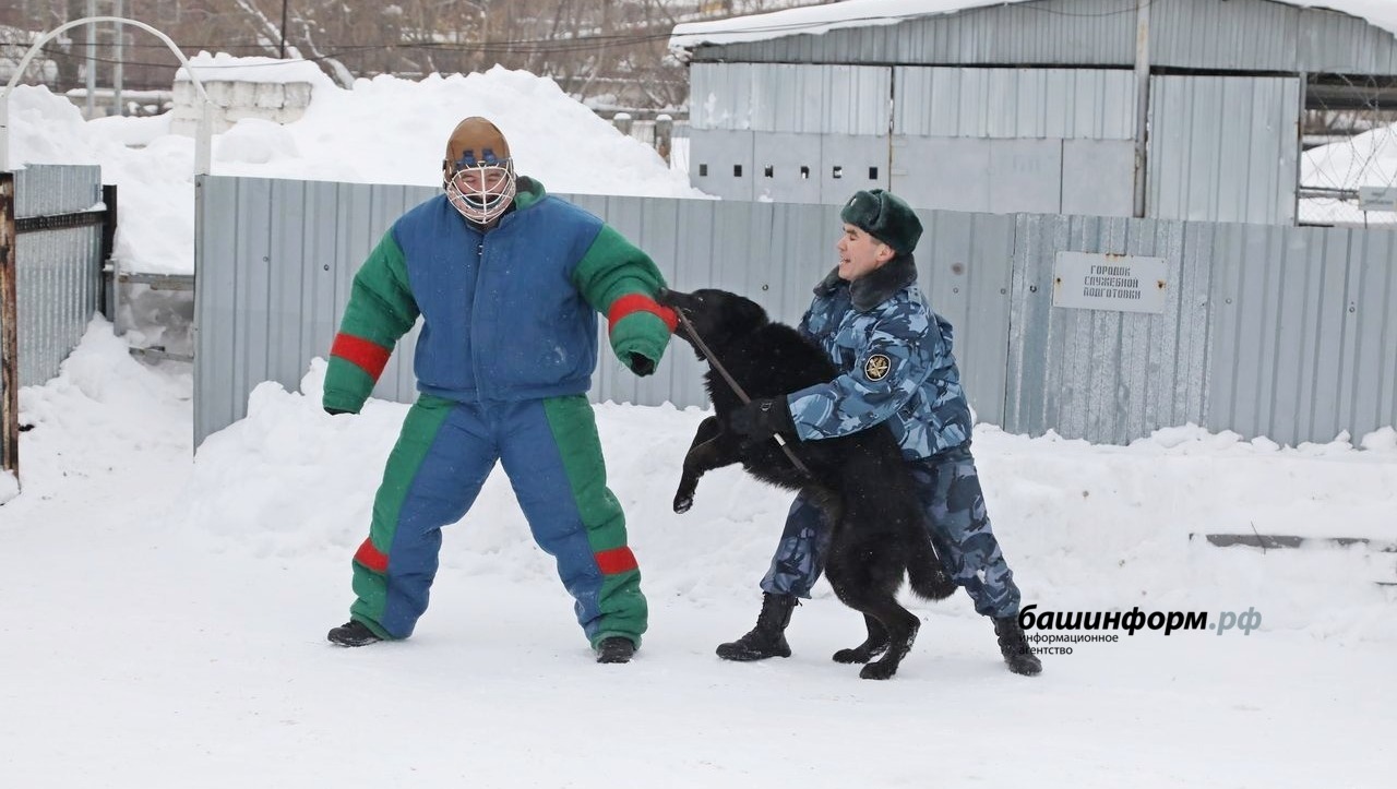 Валерий Шахов