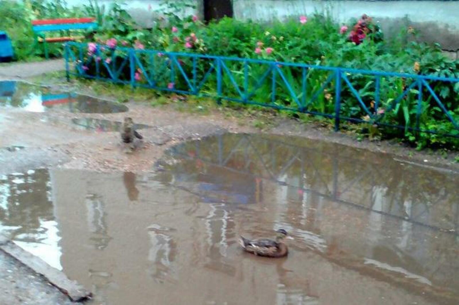 соцсети