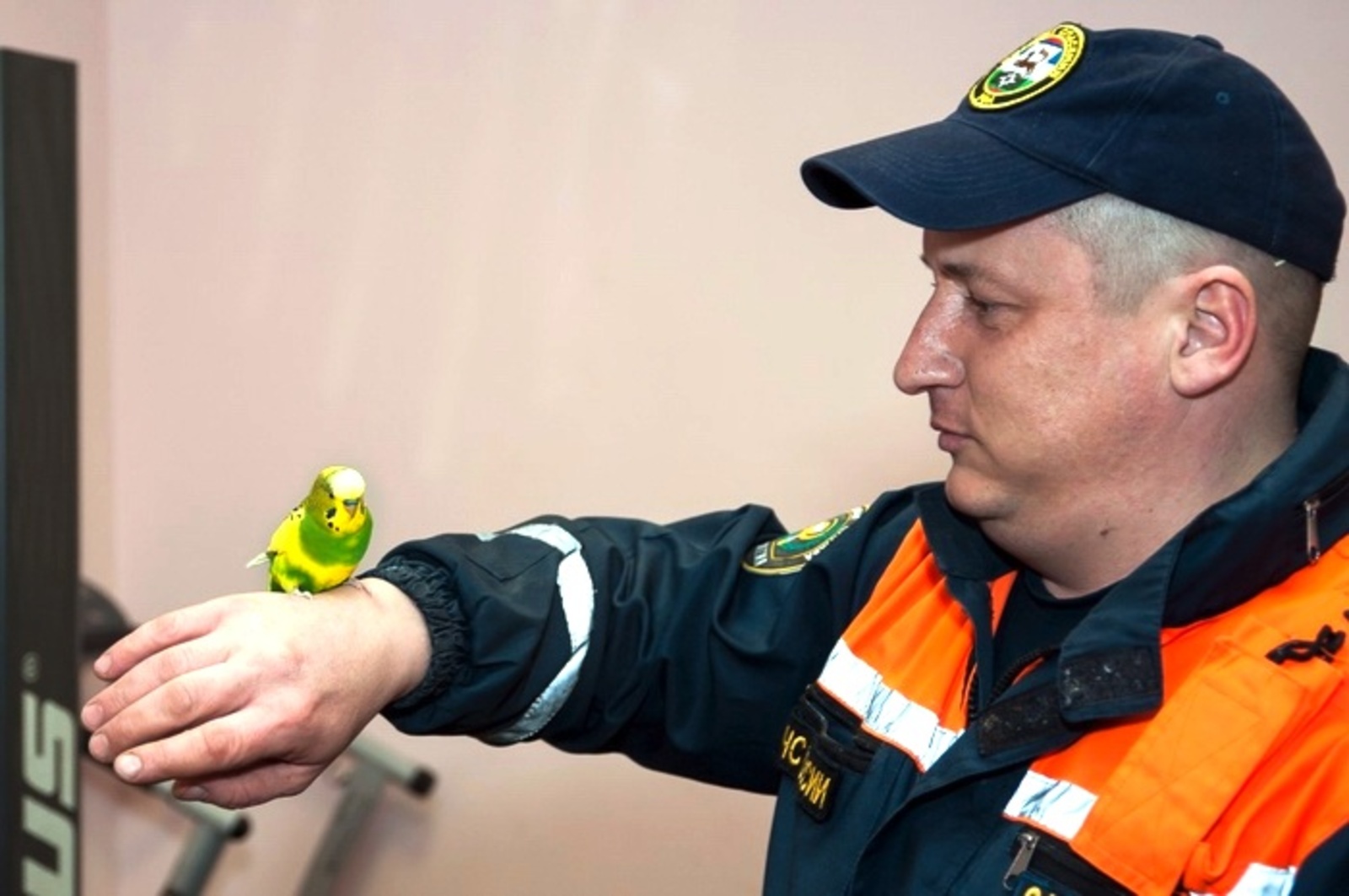 Попугай Холматрик отметил годовщину «службы» у спасателей Уфы