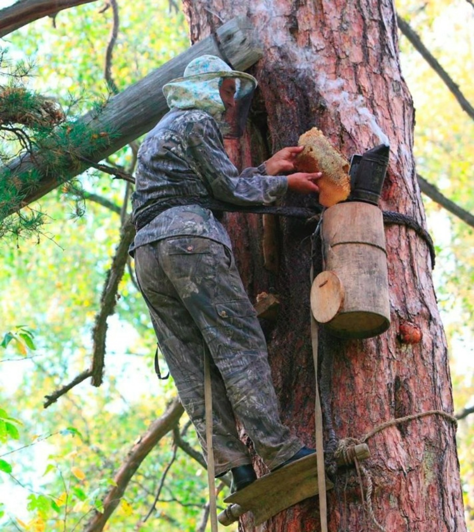 телеграм-канал Радия Хабирова