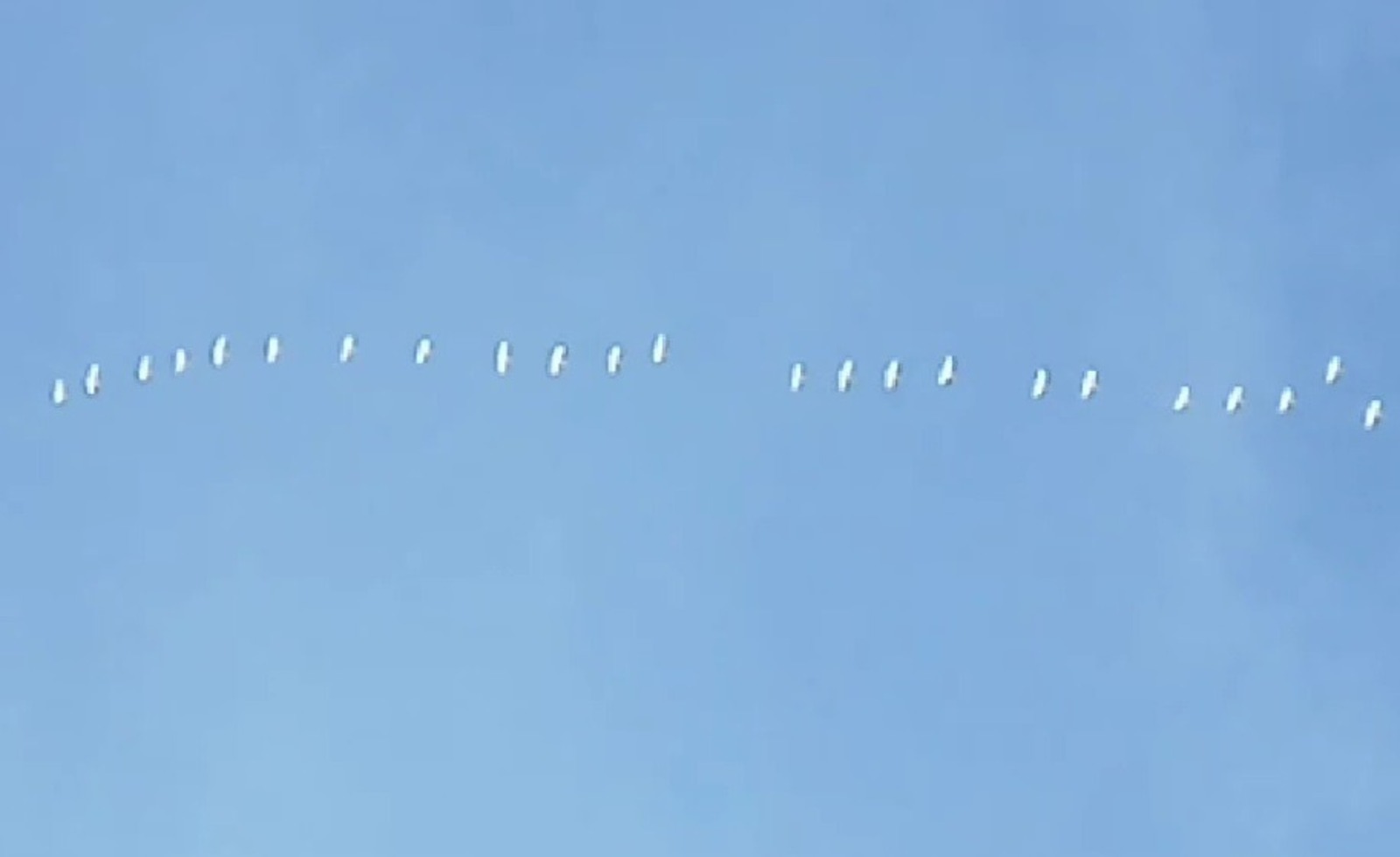 скриншот видео