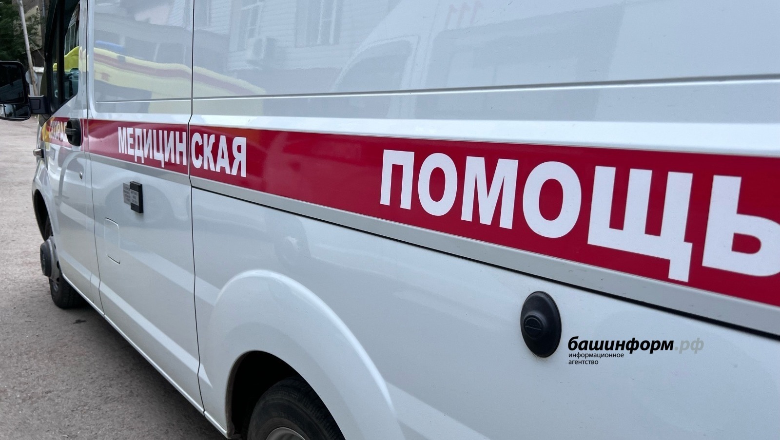 Ксения Калинина, архив