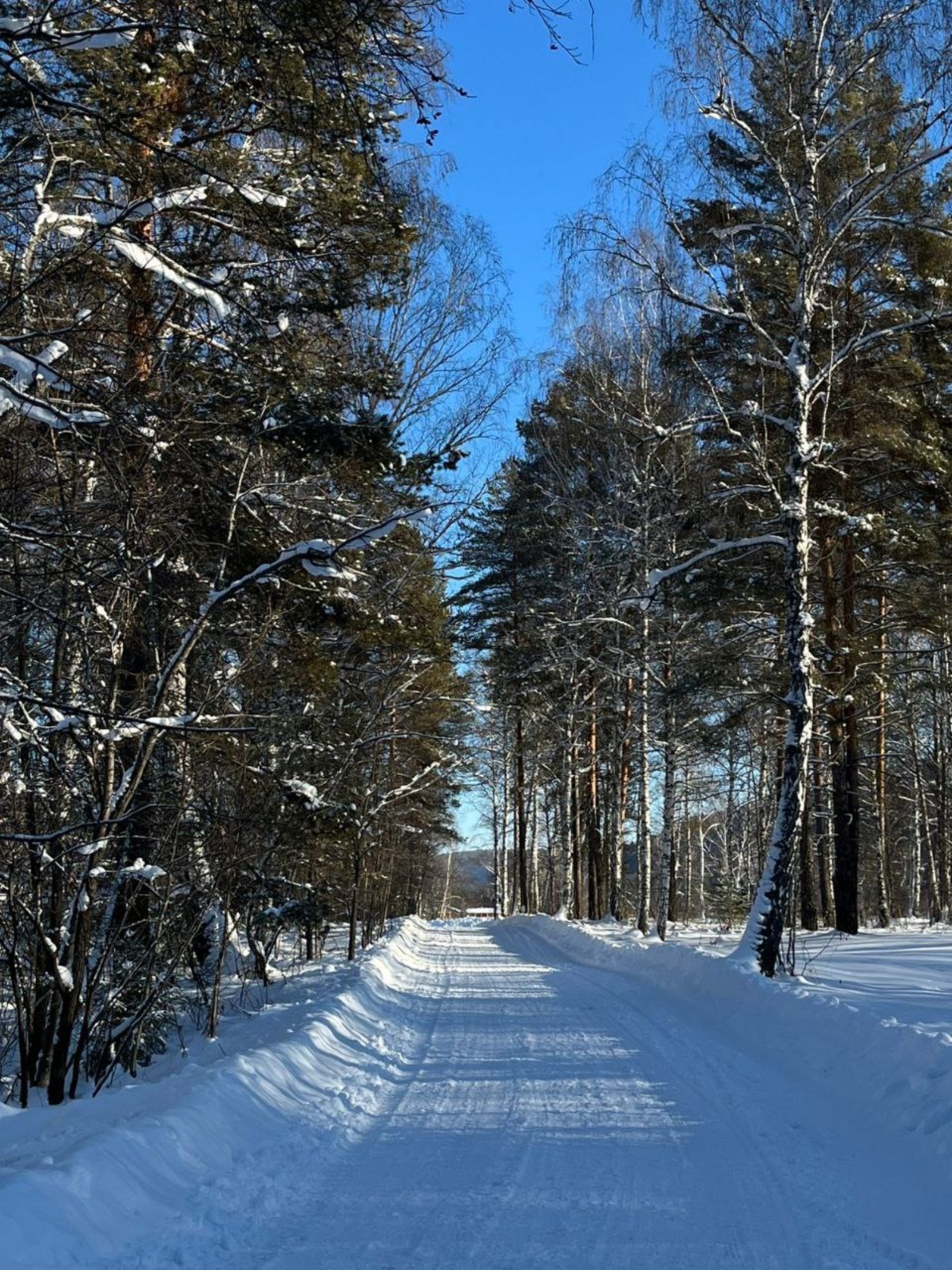 пресс-служба заповедник «Шульган-Таш»