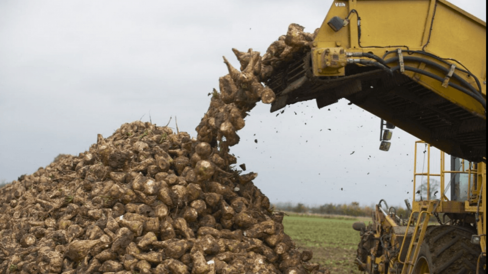 пресс-служба Минсельхоза Башкирии