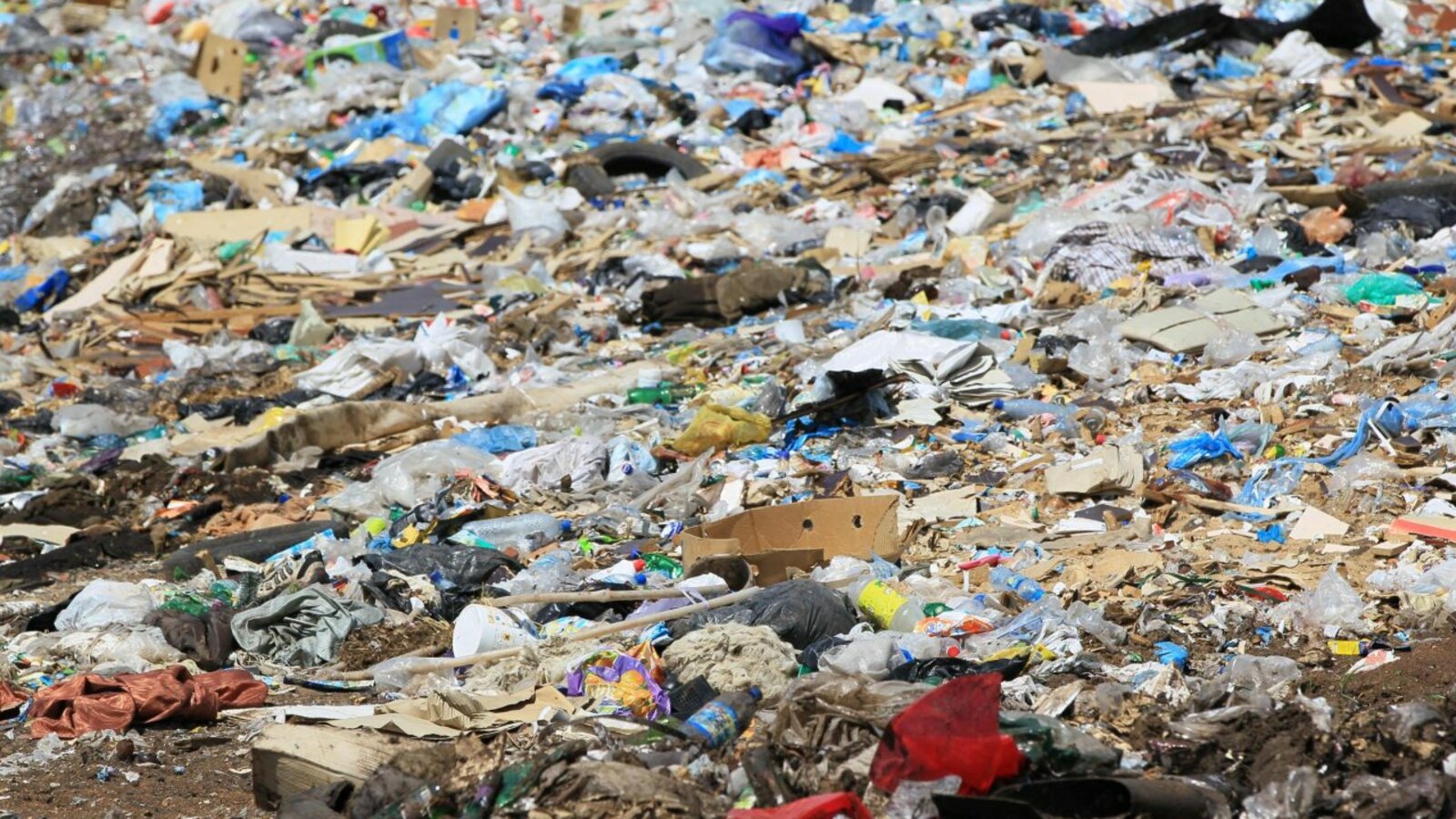 Андрей Старостин