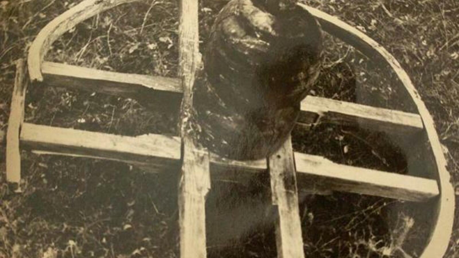 НП «Башкирия»