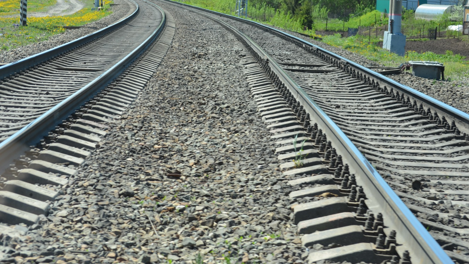 Ксения Калинина