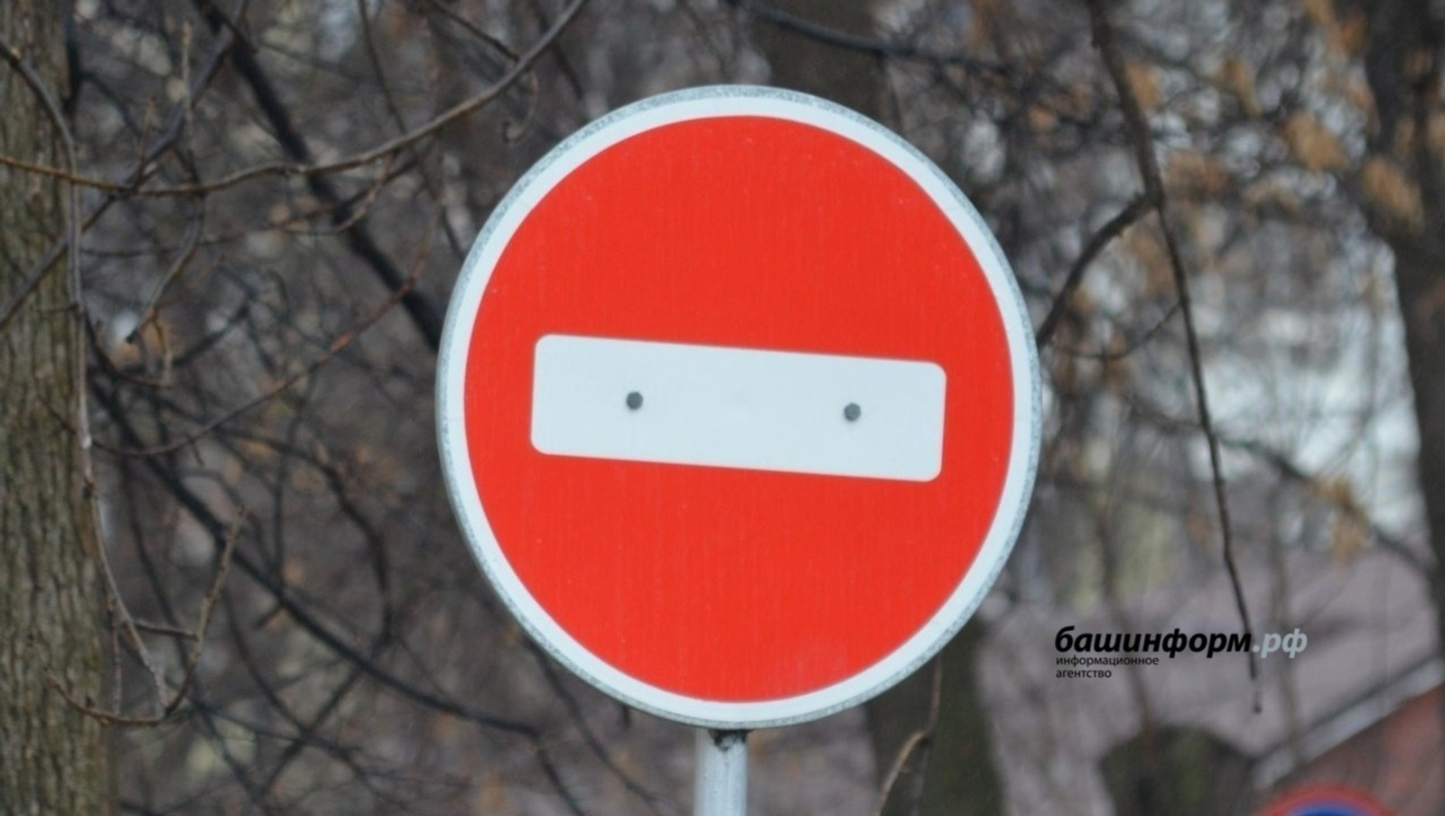 Ксения Калинина