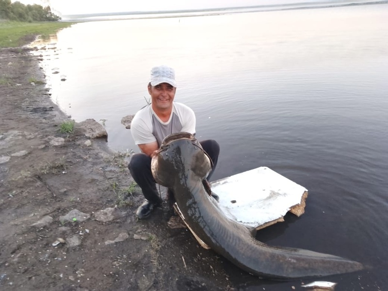 Житель Башкирии поймал сома длиной в два метра и весом в 50 килограмм