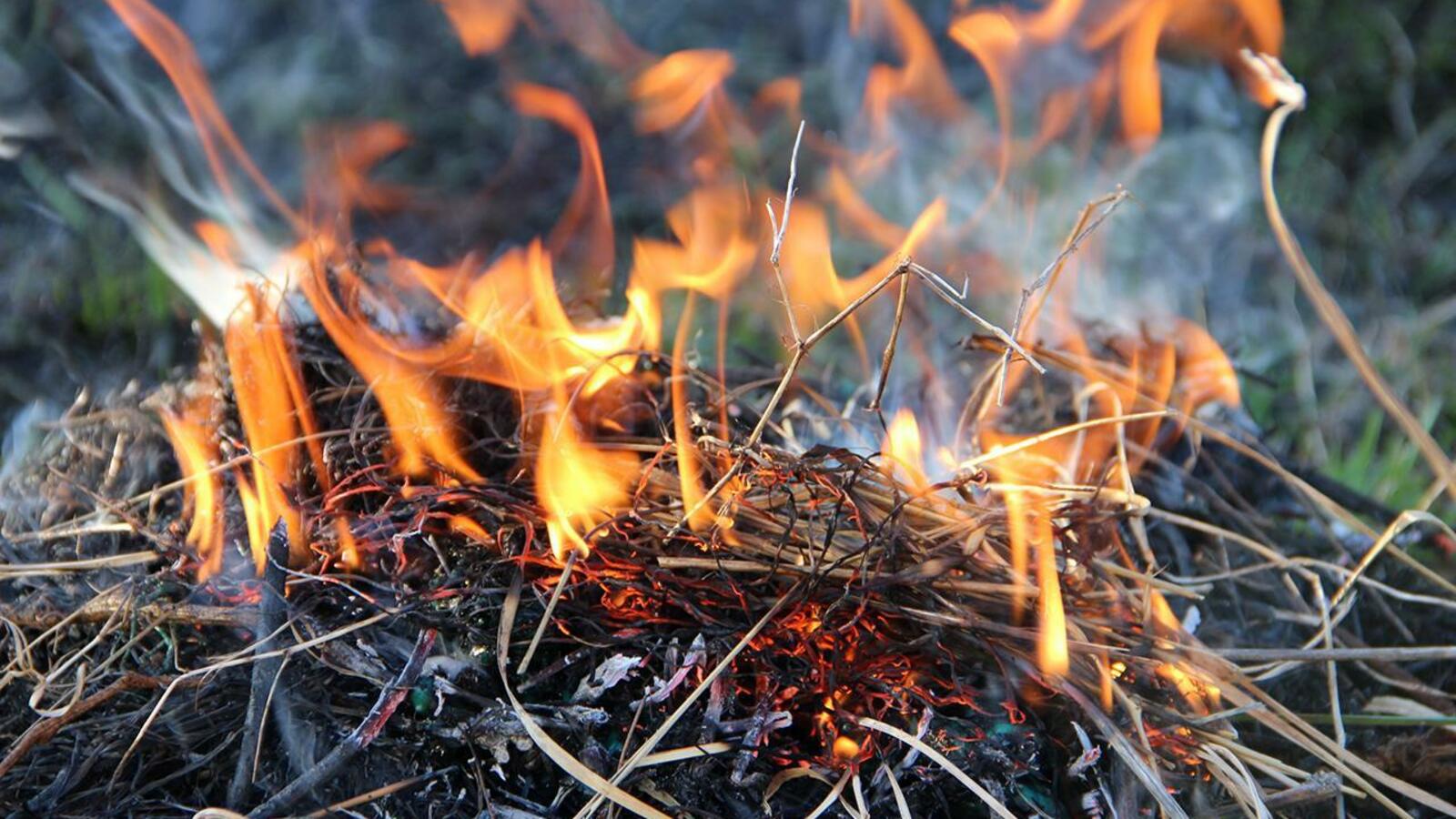 ИА «Башинформ»