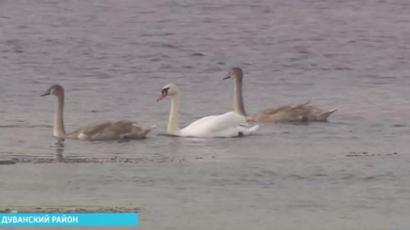 ГТРК «Башкортостан»