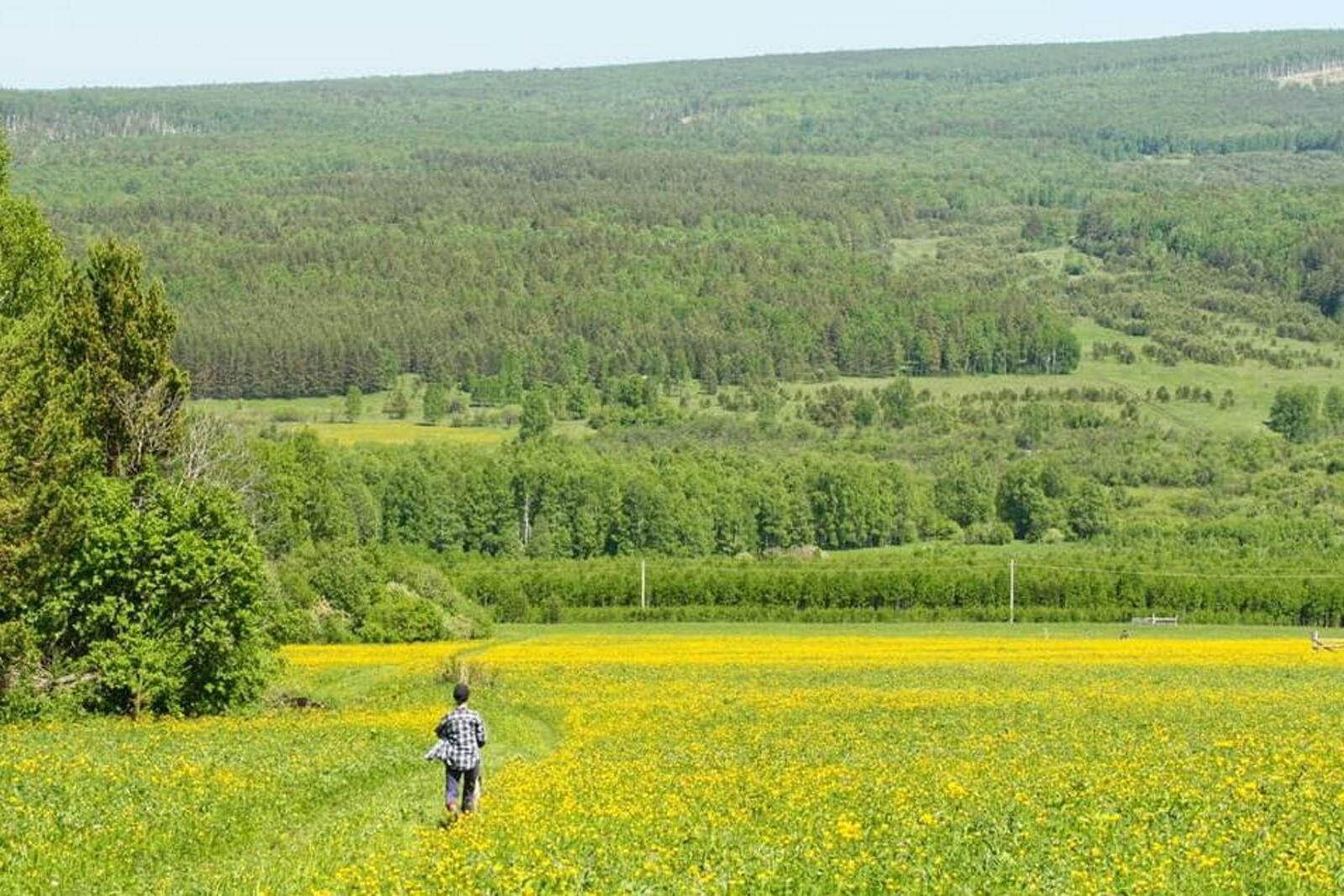 Рина Гринберг