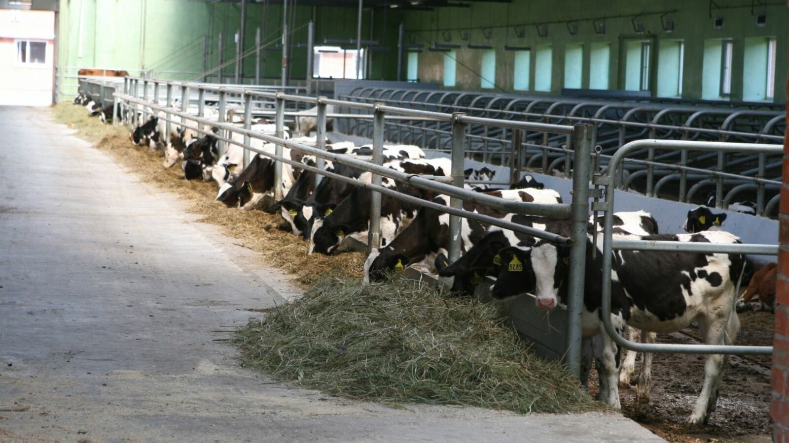 Андрей Старостин