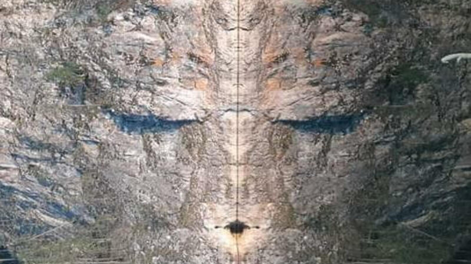 Камиль Юлаев