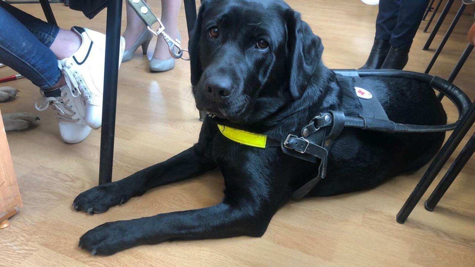 ИА «Башинформ»