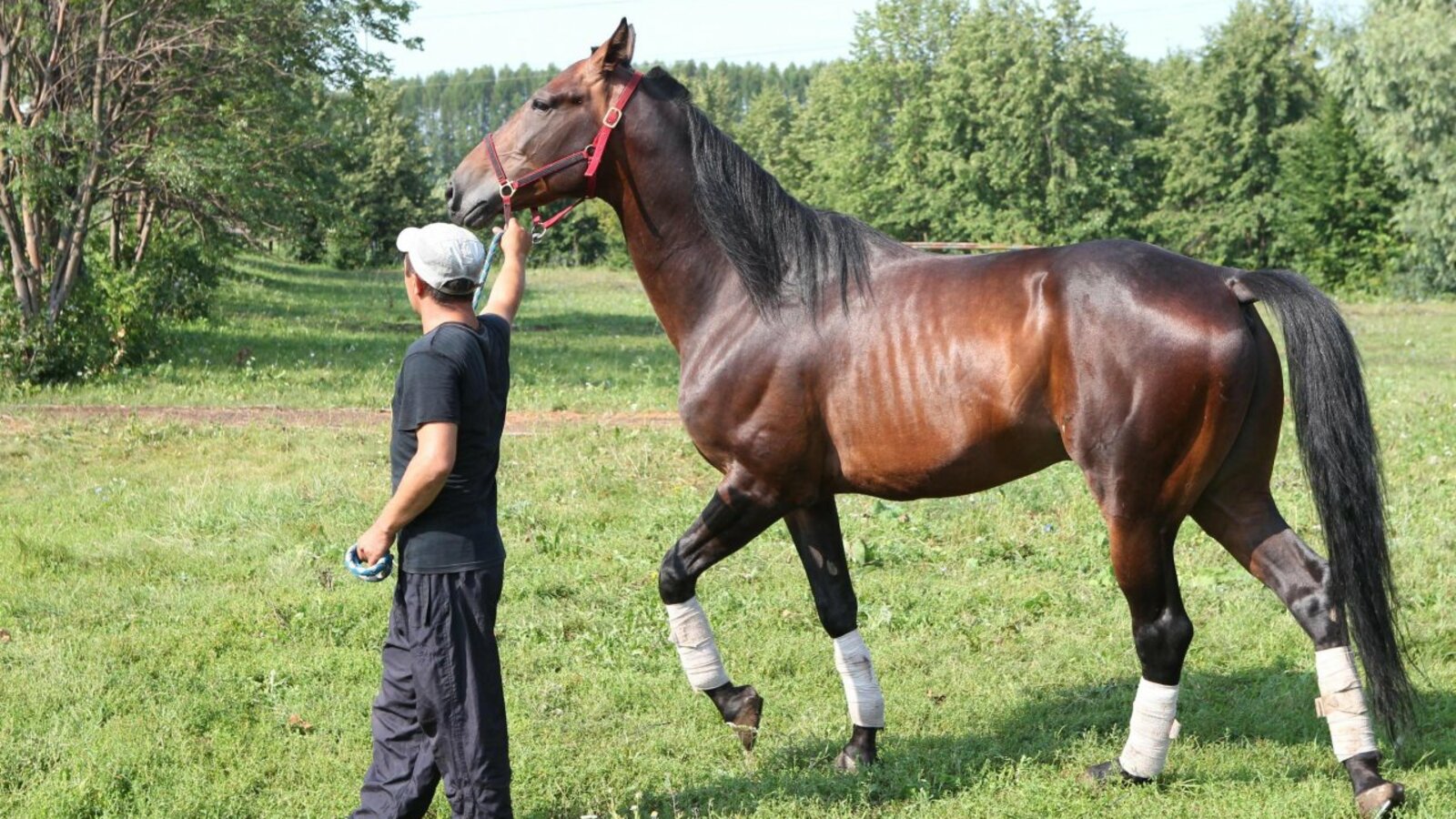 Олег Яровиков