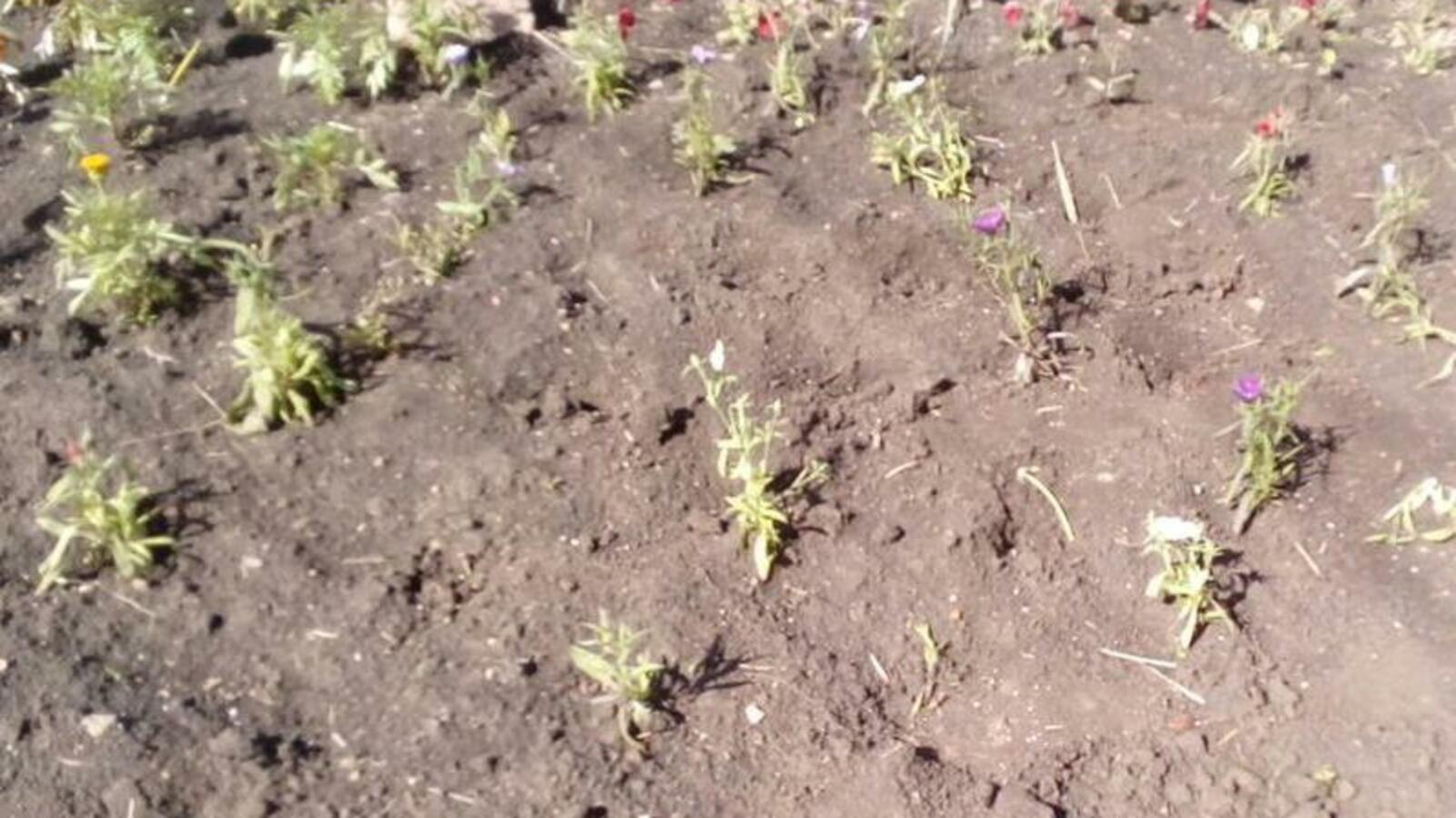 администрация Уфы