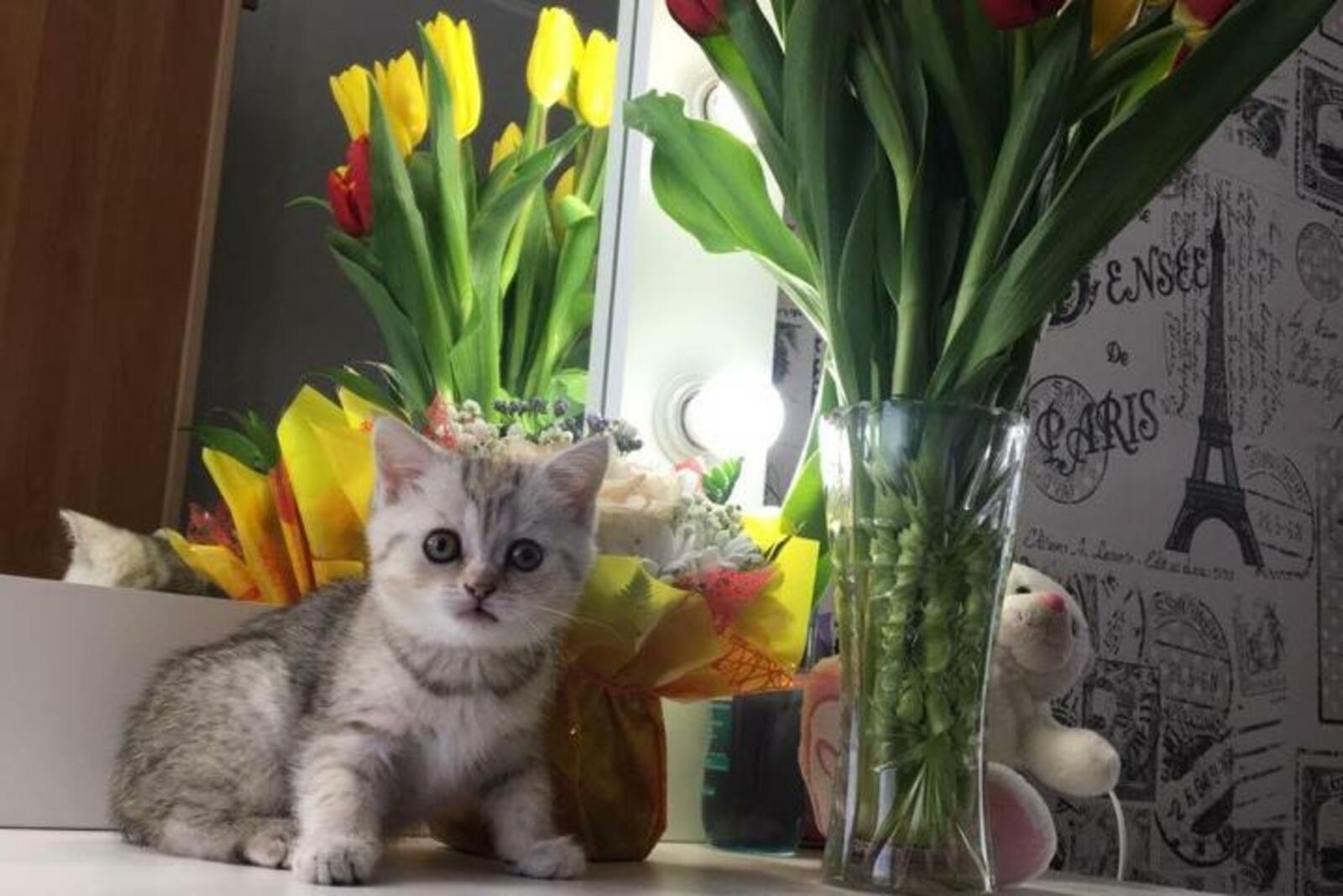 Анжела Зайцева