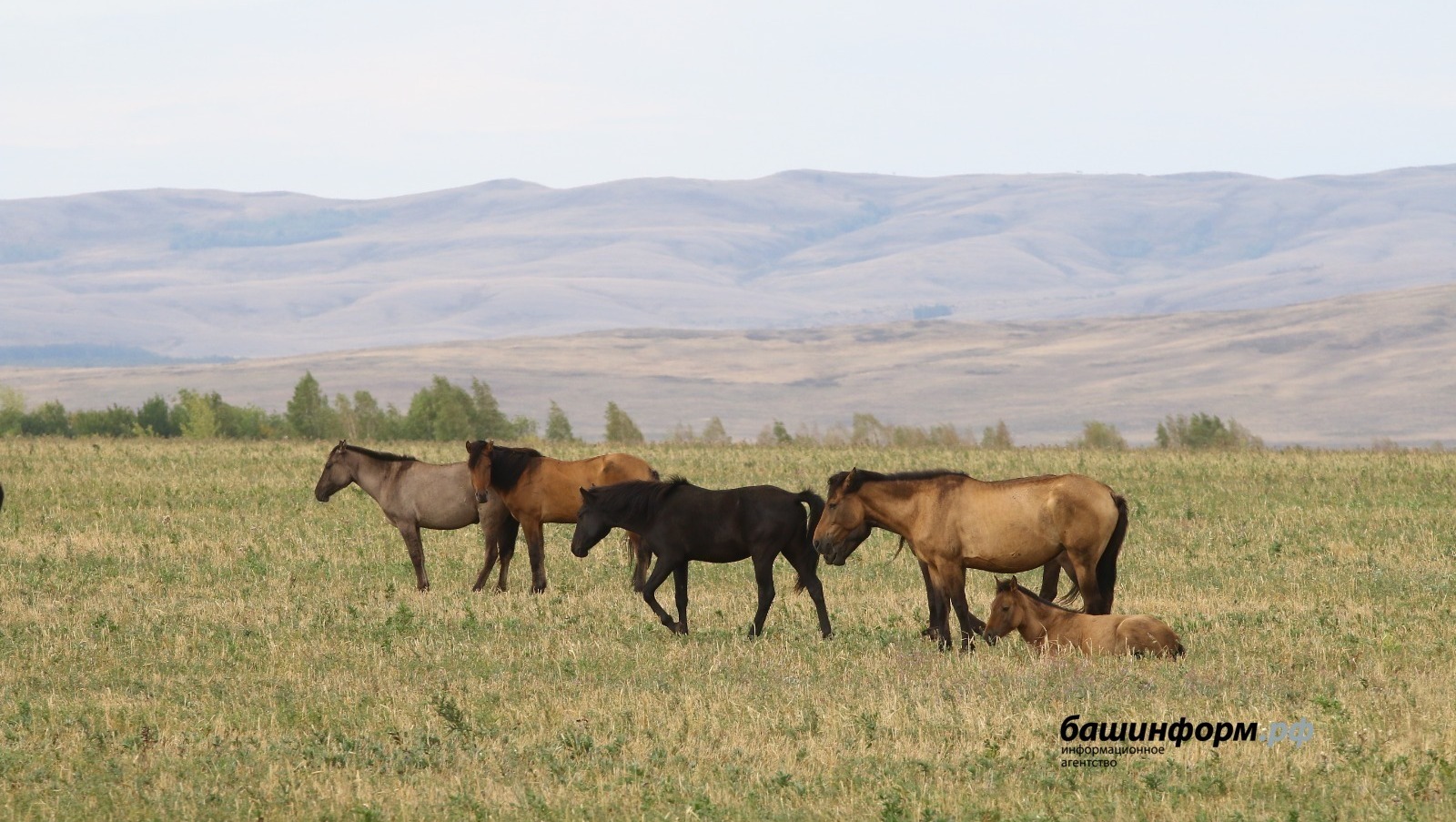 Валерий Шахов архив ИА «Башинформ»