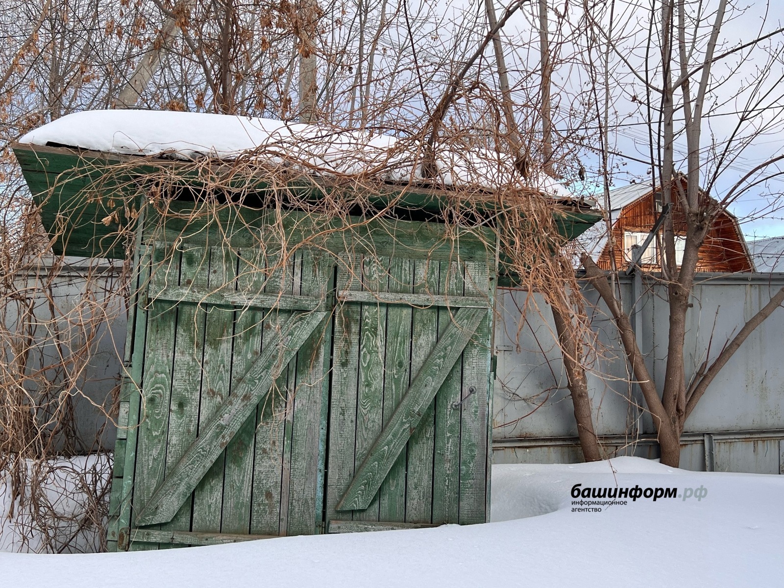 Ксения Калинина