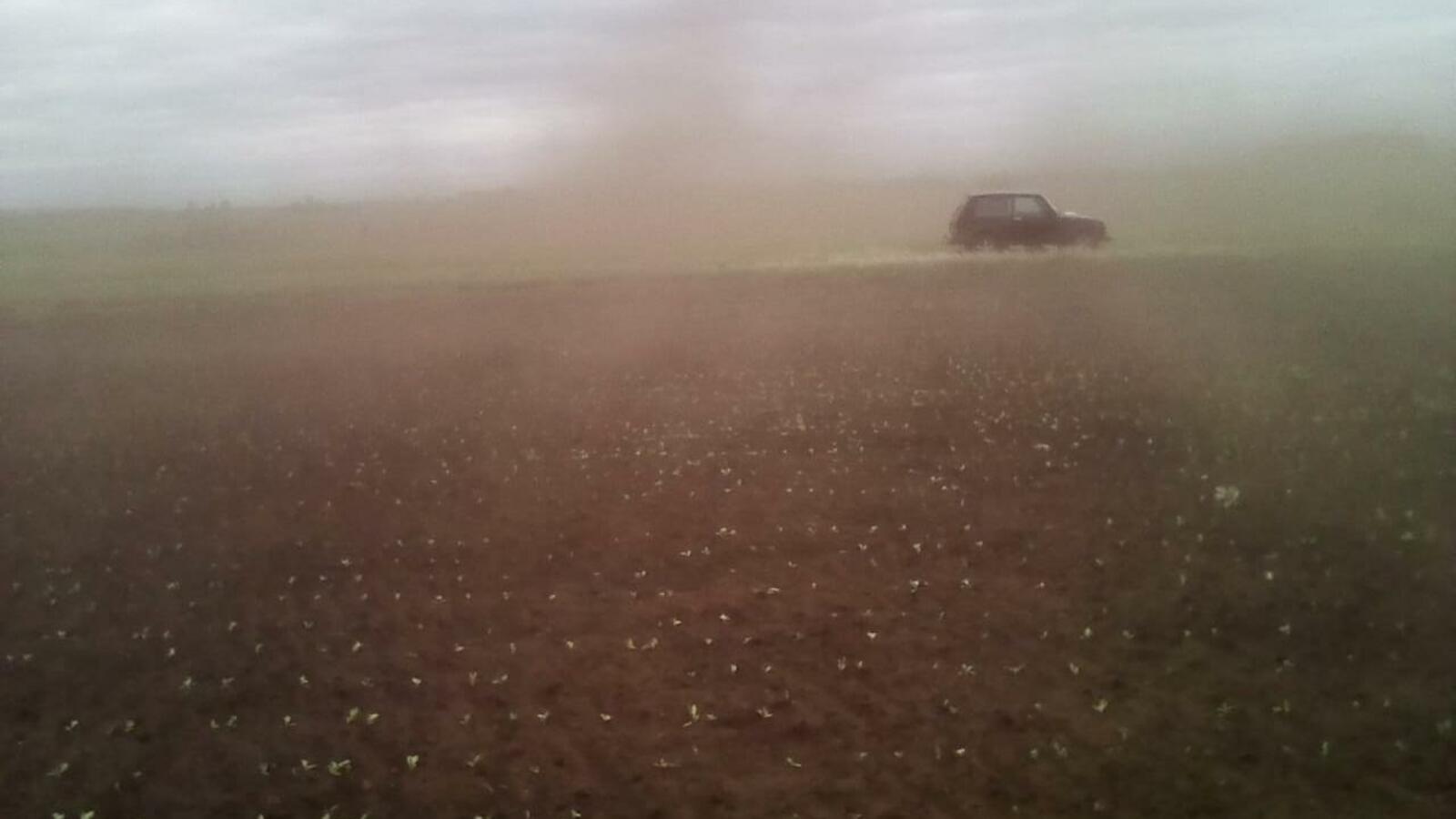 Россельхозцентр по РБ