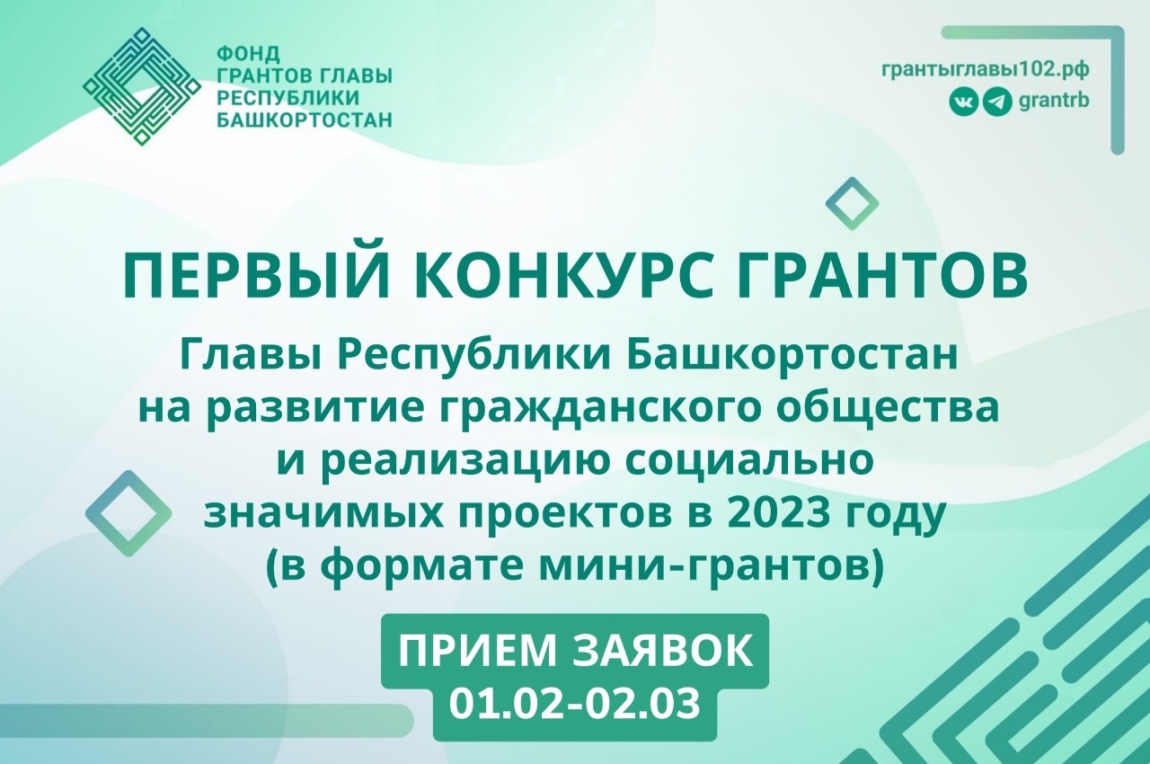 В феврале стартует конкурс грантов Главы Республики Башкортостан для молодых НКО