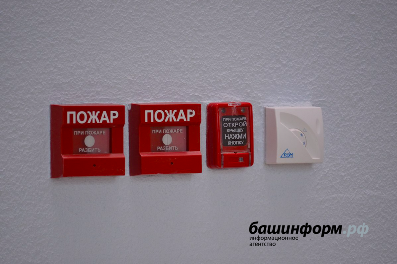 Ксения Калинина