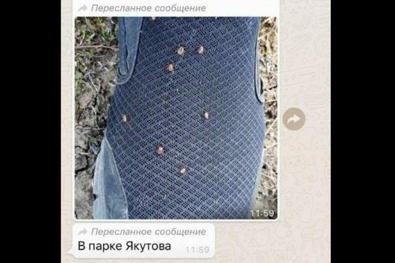 соцсети