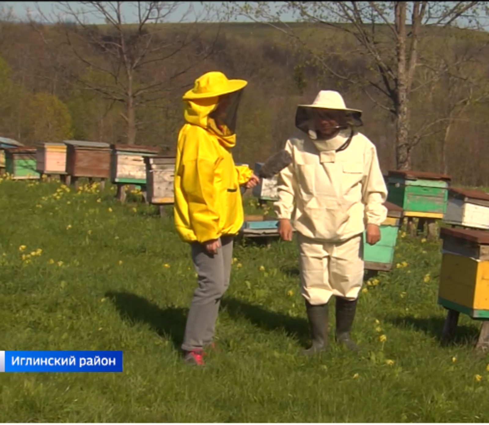 Иглинский пчеловод рассказал телезрителям о подготовке к новому медоносному сезону