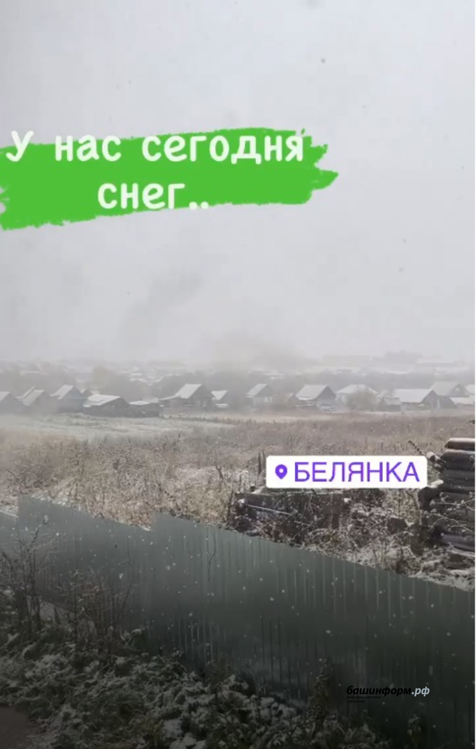 скриншот видео