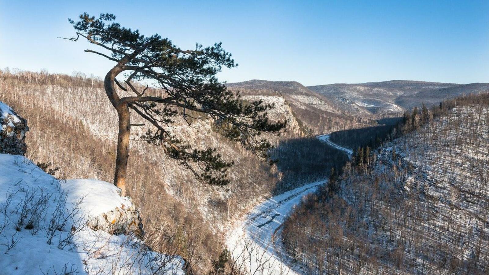 Анна Сапельникова/ВКонтакте