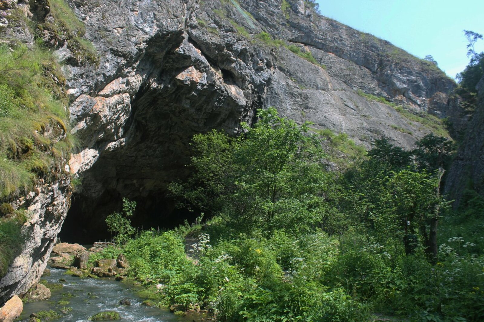 Научная Россия