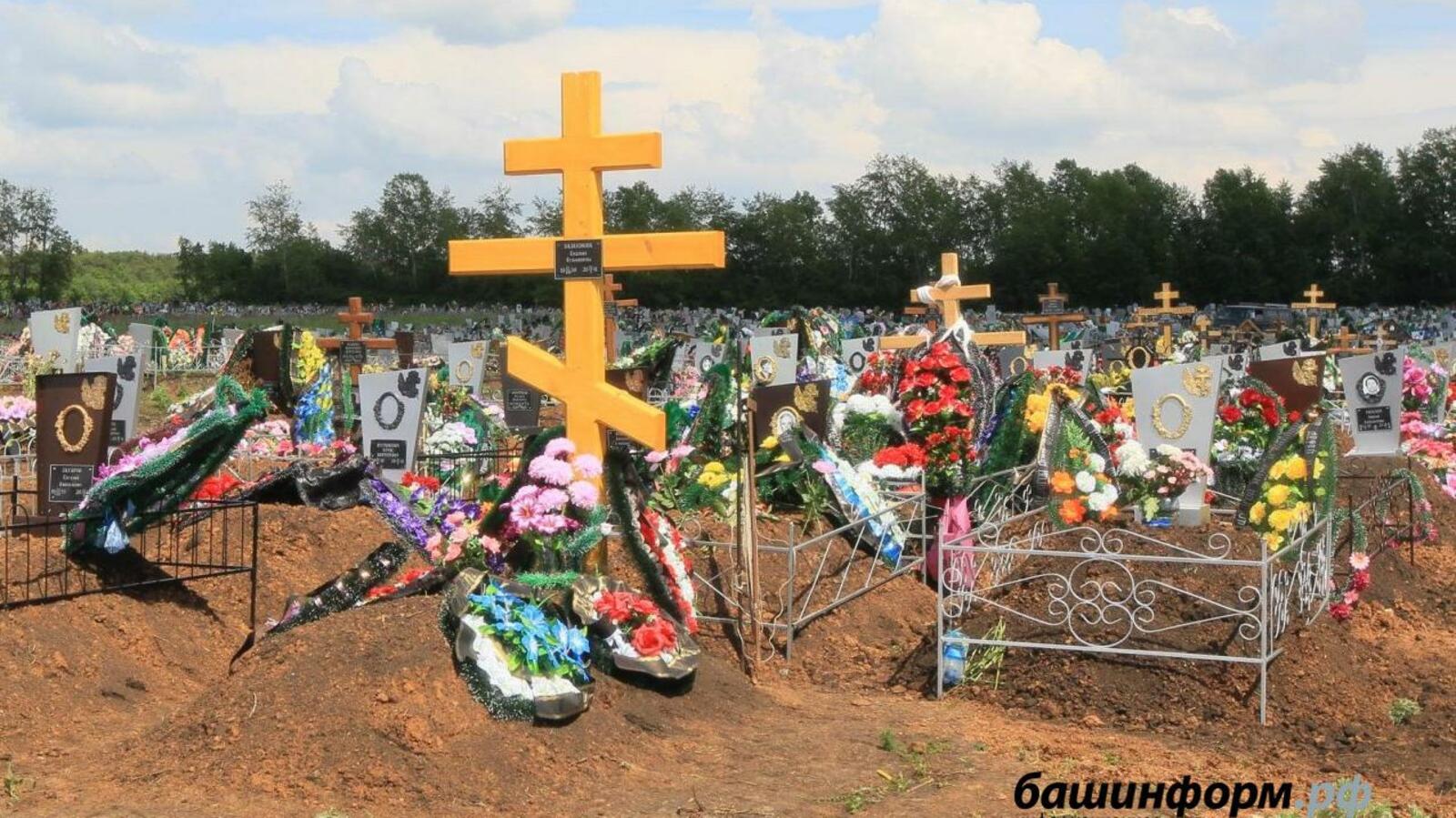 Андрей Старостин