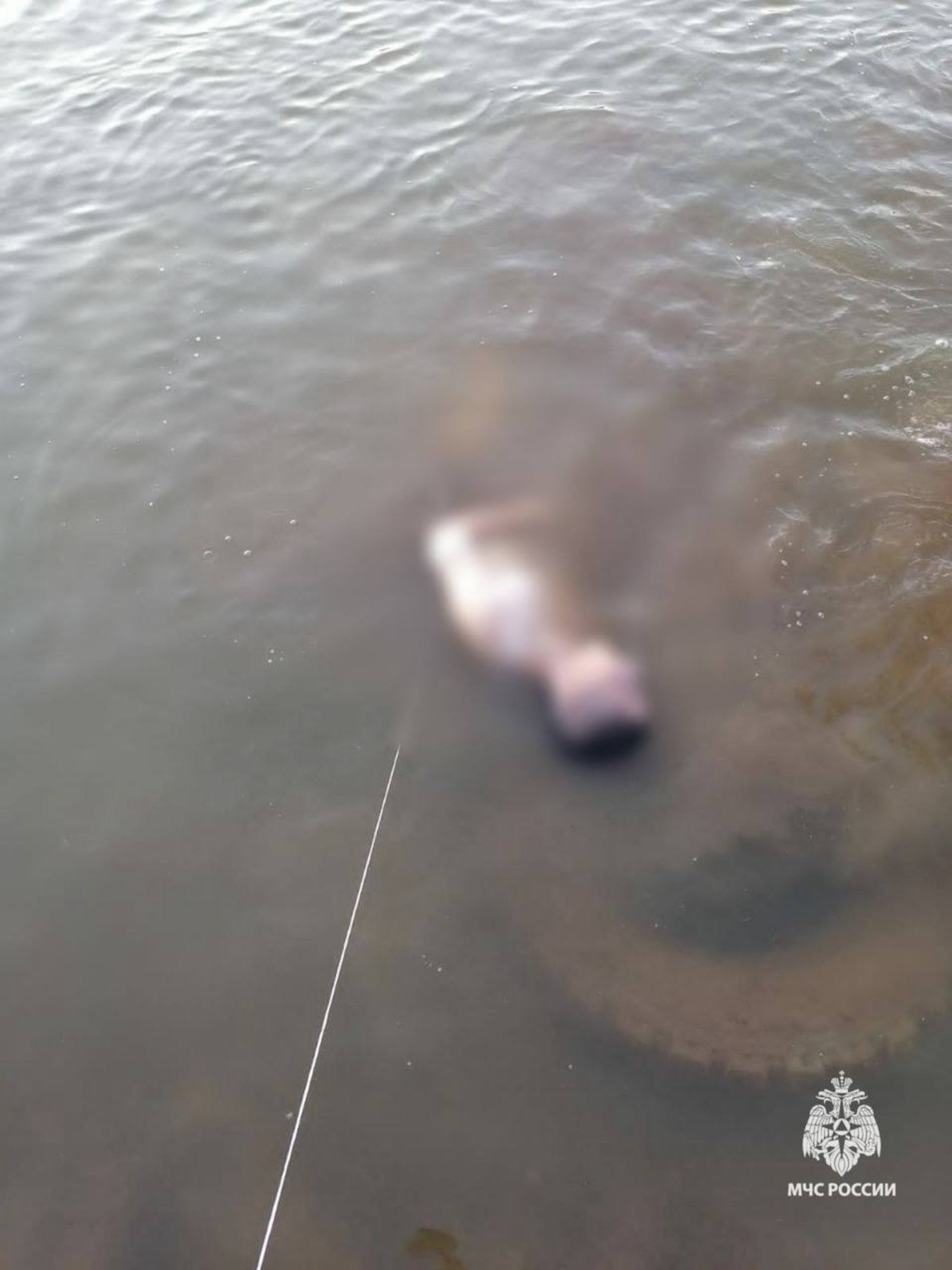 МЧС по РБ  18+