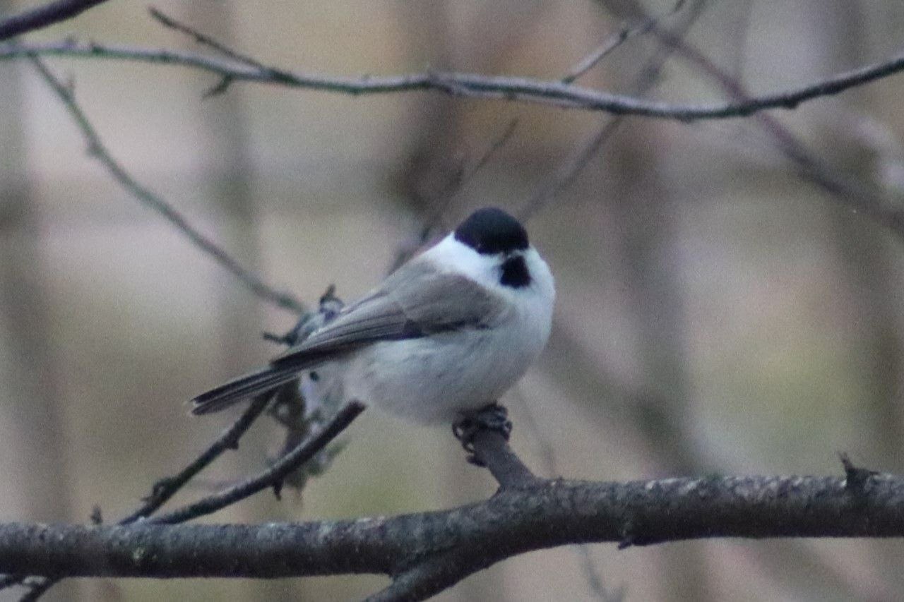пресс-служба нацпарка «Башкирия»