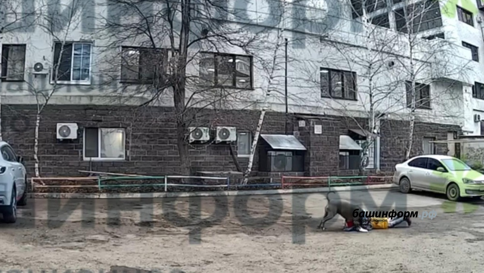 камера домофона источник «Башинформа»