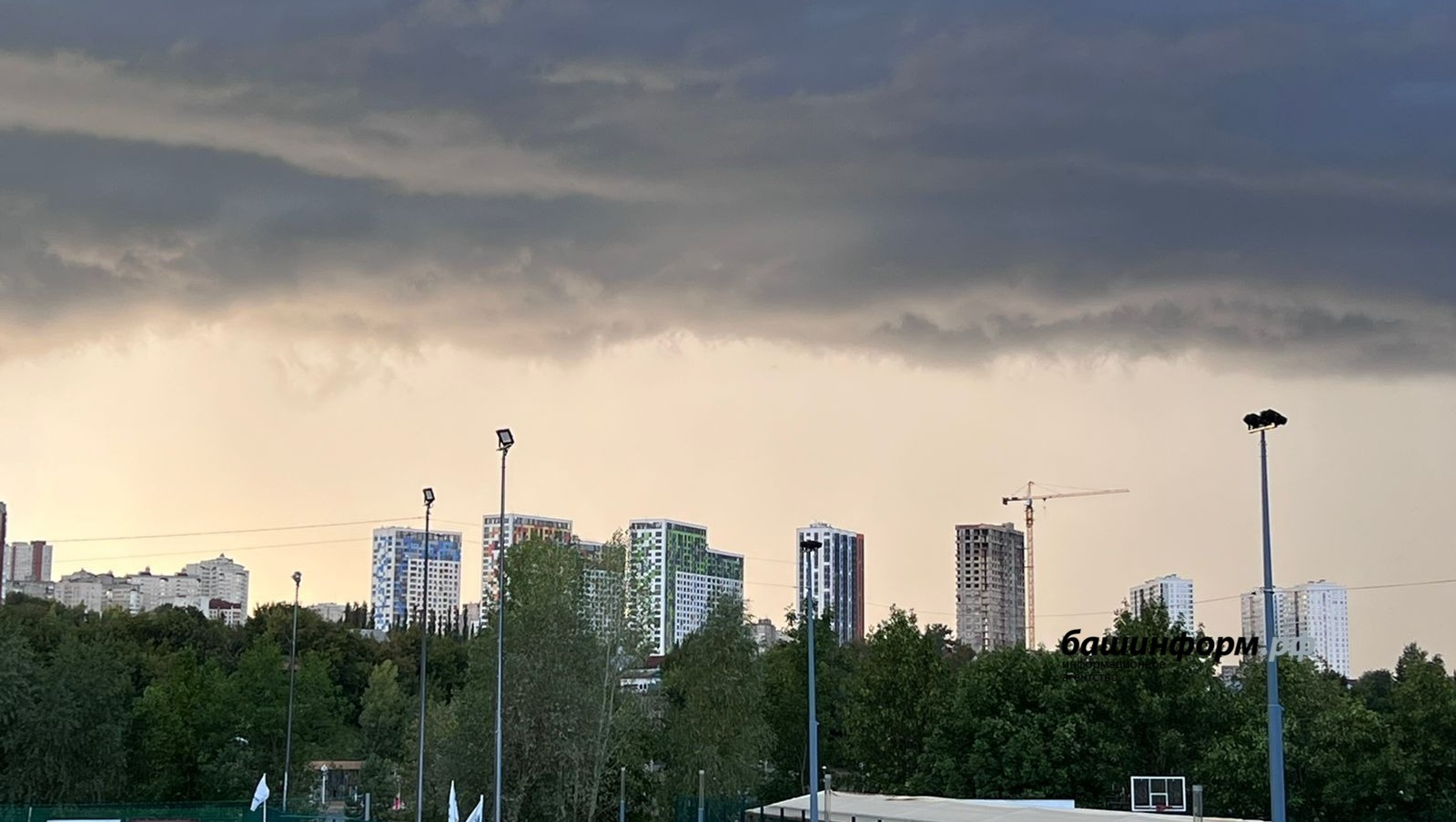 Ксения Калинина